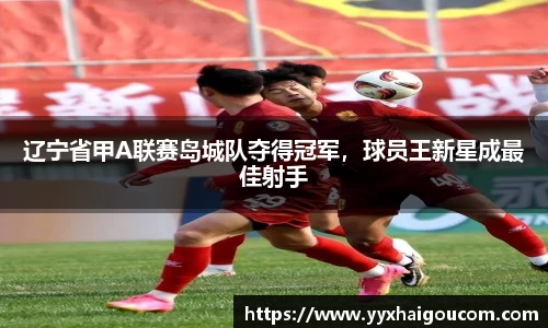 k1体育网页版
