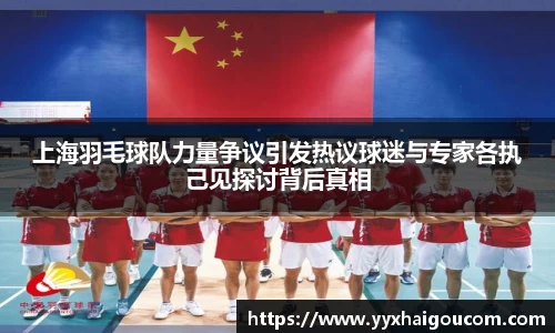 上海羽毛球队力量争议引发热议球迷与专家各执己见探讨背后真相