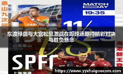 k1体育网页版