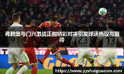 弗赖堡与门兴激战正酣精彩对决引发球迷热议与期待