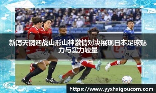 新泻天鹅迎战山形山神激情对决展现日本足球魅力与实力较量