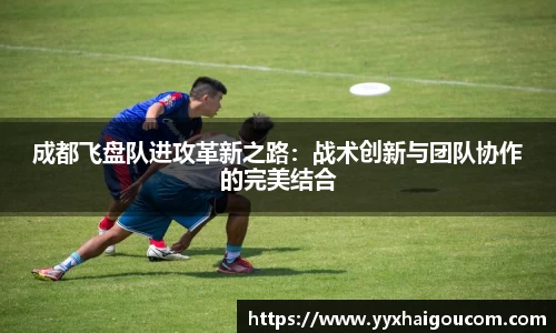 成都飞盘队进攻革新之路：战术创新与团队协作的完美结合