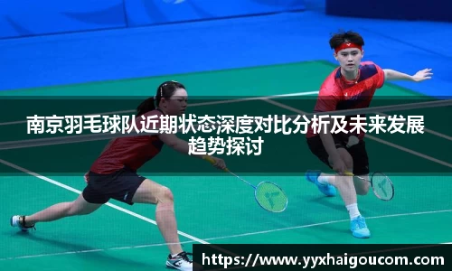 南京羽毛球队近期状态深度对比分析及未来发展趋势探讨